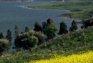 Termini Imerese